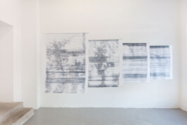 Lynn Gerstmair